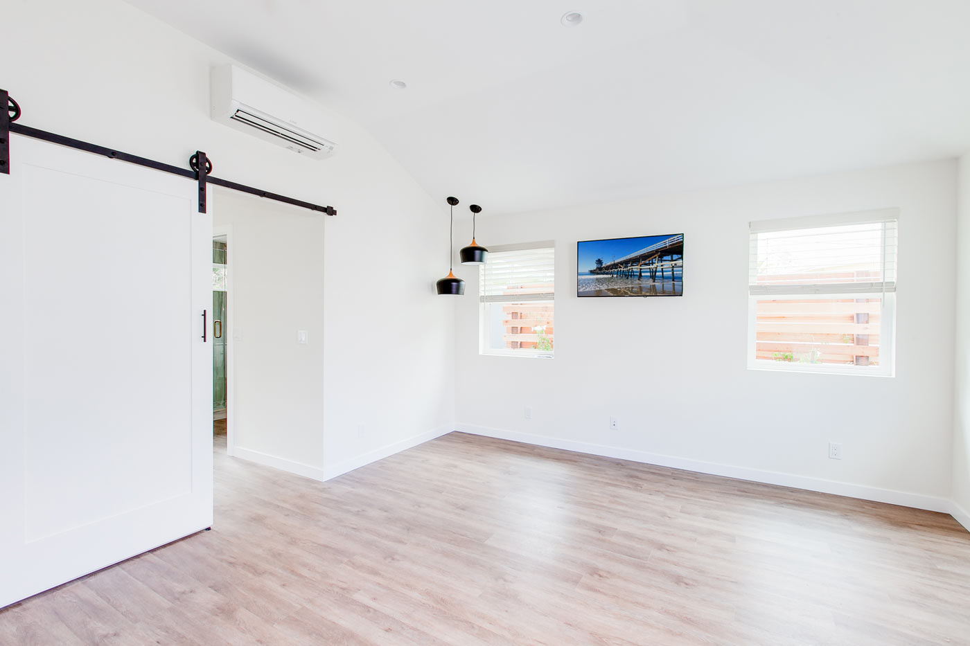 ADU Garage Conversion Living Room - San Clemente